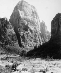 Zion National Park - The beloved iconic flat hat is a symbol of the NPS  rangers commitment to service and dedication that they bring to their jobs.  We wear it with pride