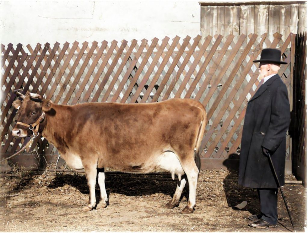 Why do graduates decorate their caps? - Farm and Dairy